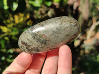Polished Rare Pharaoh Stone Pyrite in Basalt Palm Stones x 12 Iron Duke Mine, Zimbabwe - Toprock Gemstones and Minerals 
