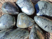 Polished Rare Pharaoh Stone Pyrite in Basalt Palm Stones x 12 Iron Duke Mine, Zimbabwe - Toprock Gemstones and Minerals 