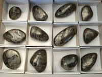 Polished Rare Pharaoh Stone Pyrite in Basalt Palm Stones x 12 Iron Duke Mine, Zimbabwe - Toprock Gemstones and Minerals 