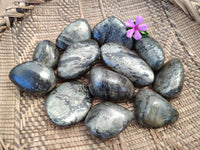Polished Rare Pharaoh Stone Pyrite in Basalt Palm Stones x 12 Iron Duke Mine, Zimbabwe - Toprock Gemstones and Minerals 