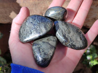 Polished Rare Pharaoh Stone Pyrite in Basalt Palm Stones x 12 Iron Duke Mine, Zimbabwe - Toprock Gemstones and Minerals 