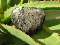 Polished Rare Pharaoh Stone Pyrite in Basalt Palm Stones x 12 Iron Duke Mine, Zimbabwe - Toprock Gemstones and Minerals 