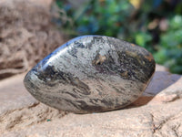 Polished Rare Pharaoh Stone Pyrite in Basalt Palm Stones x 12 Iron Duke Mine, Zimbabwe - Toprock Gemstones and Minerals 