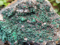 Natural Ball Malachite and Drusy Quartz On Dolomite Matrix Specimens x 2 From Kambove, Congo