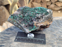 Natural Ball Malachite and Drusy Quartz On Dolomite Matrix Specimens x 2 From Kambove, Congo