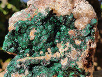 Natural Ball Malachite and Drusy Quartz On Dolomite Matrix Specimens x 2 From Kambove, Congo