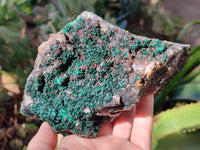 Natural Ball Malachite and Drusy Quartz On Dolomite Matrix Specimens x 2 From Kambove, Congo