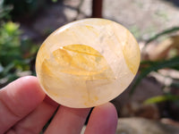 Polished Golden Healer Quartz Palm Stones x 20 From Madagascar