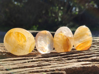 Polished Golden Healer Quartz Palm Stones x 20 From Madagascar