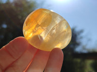 Polished Golden Healer Quartz Palm Stones x 20 From Madagascar