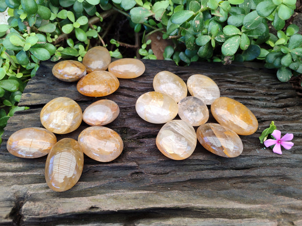 Polished Golden Healer Quartz Palm Stones x 20 From Madagascar