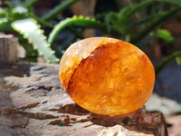 Polished Golden Healer Quartz Palm Stones x 20 From Madagascar