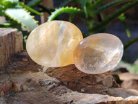 Polished Golden Healer Quartz Palm Stones x 20 From Madagascar