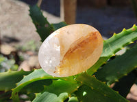 Polished Golden Healer Quartz Palm Stones x 20 From Madagascar