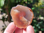 Polished On One Side Red Sashe River Agate Nodules x 54 From Zimbabwe - Toprock Gemstones and Minerals 