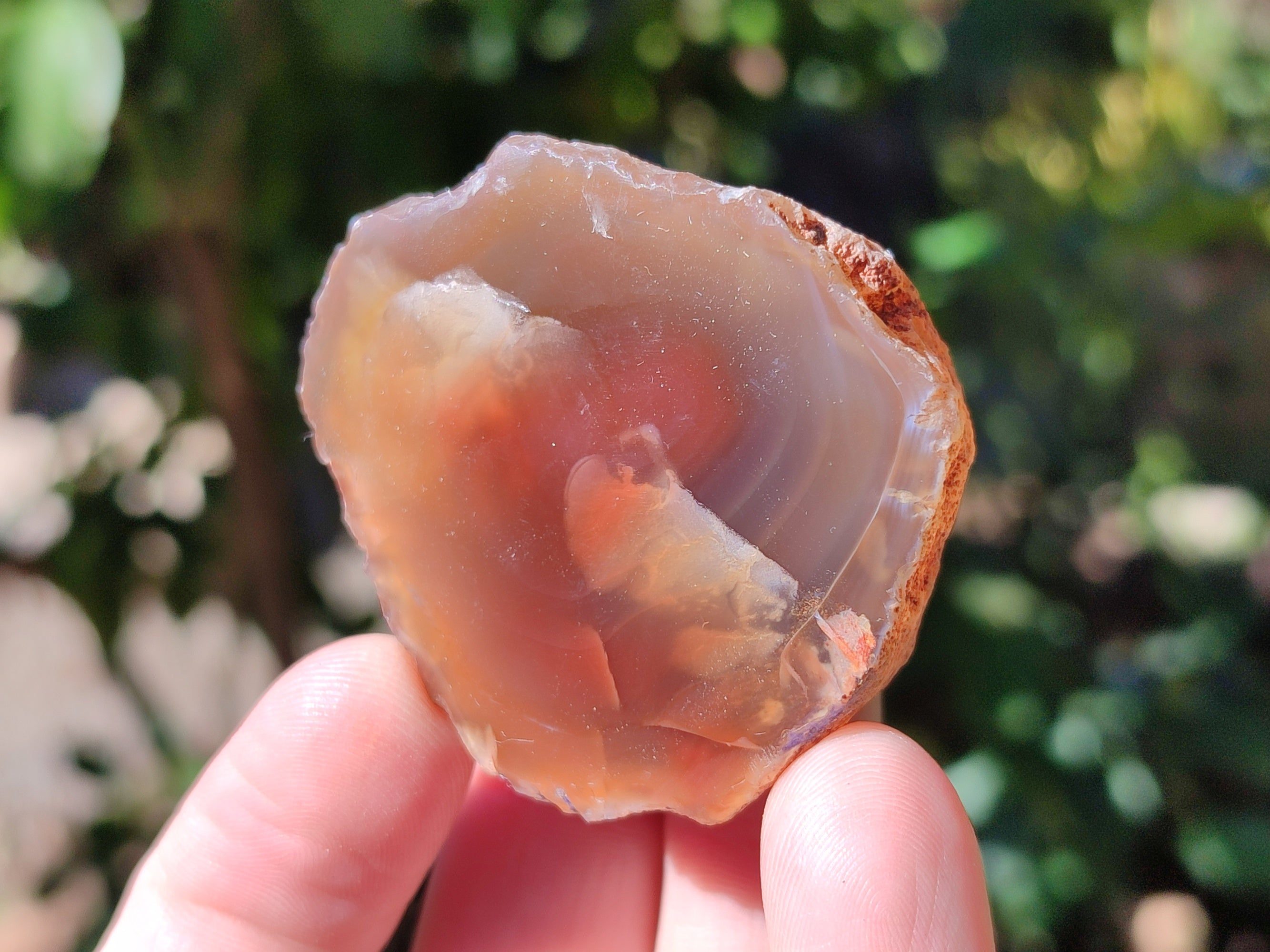 Polished On One Side Red Sashe River Agate Nodules x 54 From Zimbabwe - Toprock Gemstones and Minerals 