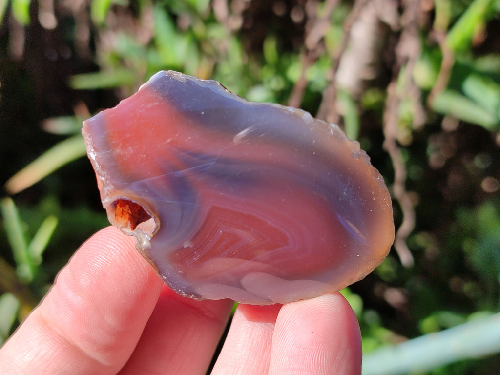 Polished On One Side Red Sashe River Agate Nodules x 54 From Zimbabwe - Toprock Gemstones and Minerals 