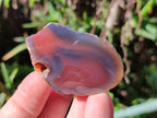 Polished On One Side Red Sashe River Agate Nodules x 54 From Zimbabwe - Toprock Gemstones and Minerals 