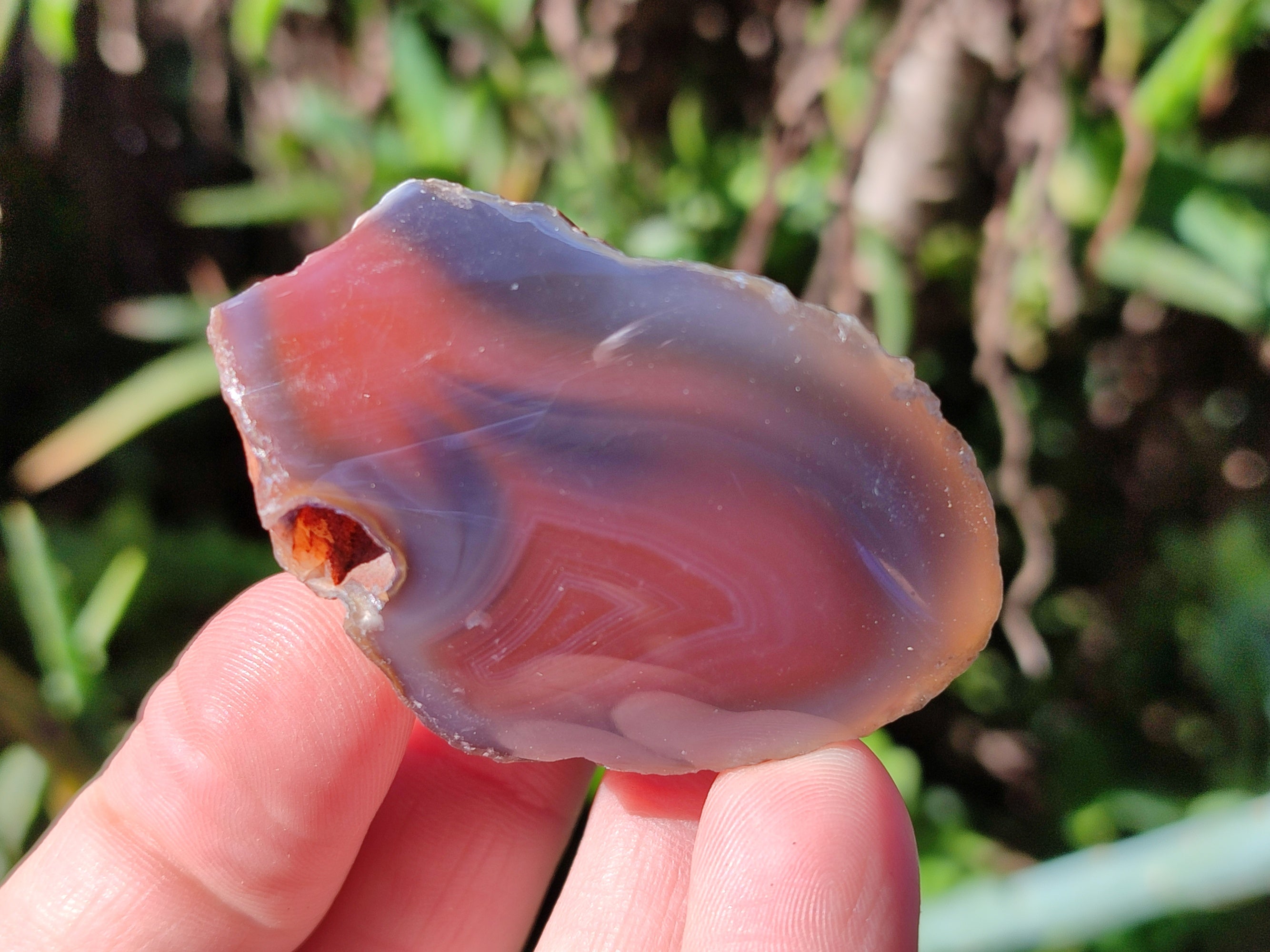 Polished On One Side Red Sashe River Agate Nodules x 54 From Zimbabwe - Toprock Gemstones and Minerals 
