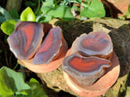 Polished On One Side Red Sashe River Agate Nodules x 54 From Zimbabwe - Toprock Gemstones and Minerals 