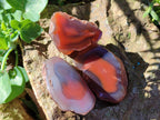 Polished On One Side Red Sashe River Agate Nodules x 54 From Zimbabwe - Toprock Gemstones and Minerals 