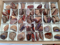 Polished On One Side Red Sashe River Agate Nodules x 54 From Zimbabwe - Toprock Gemstones and Minerals 
