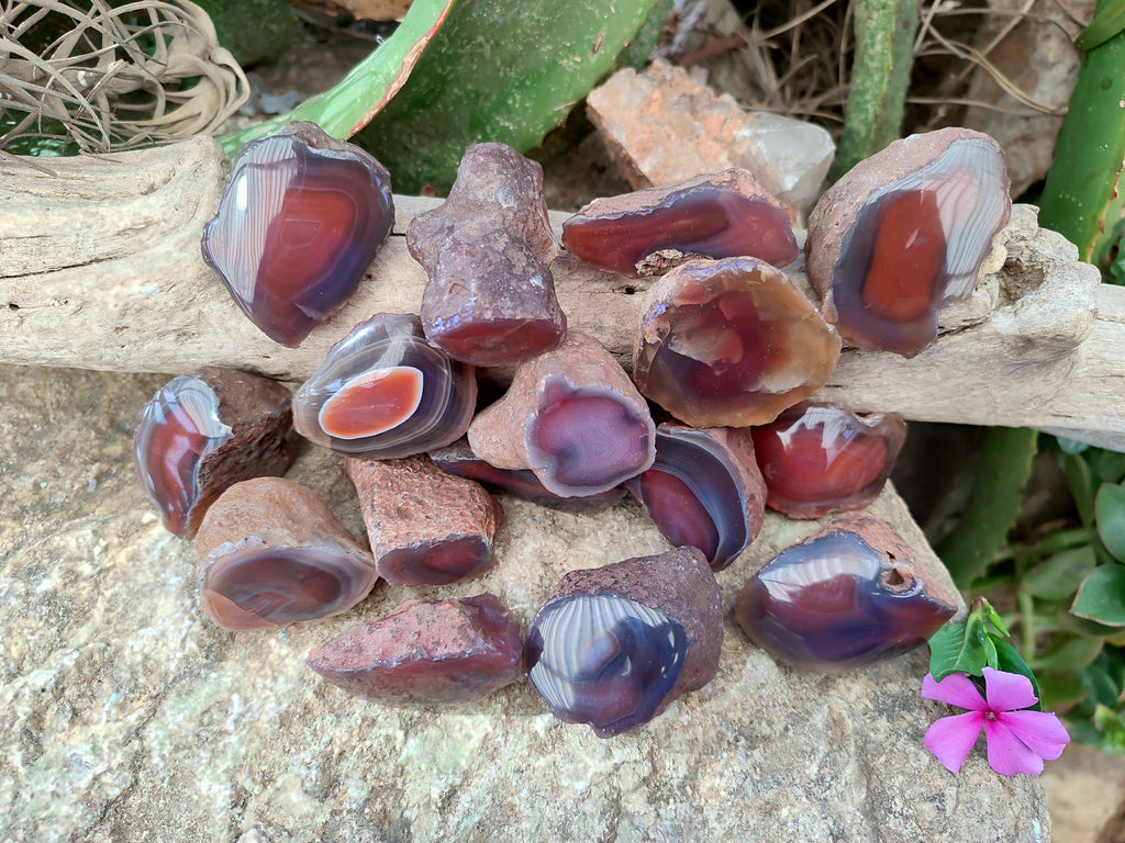 Polished On One Side Red Sashe River Agate Nodules x 54 From Zimbabwe - Toprock Gemstones and Minerals 