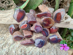 Polished On One Side Red Sashe River Agate Nodules x 54 From Zimbabwe - Toprock Gemstones and Minerals 