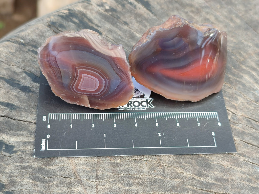 Polished On One Side Red Sashe River Agate Nodules x 54 From Zimbabwe - Toprock Gemstones and Minerals 