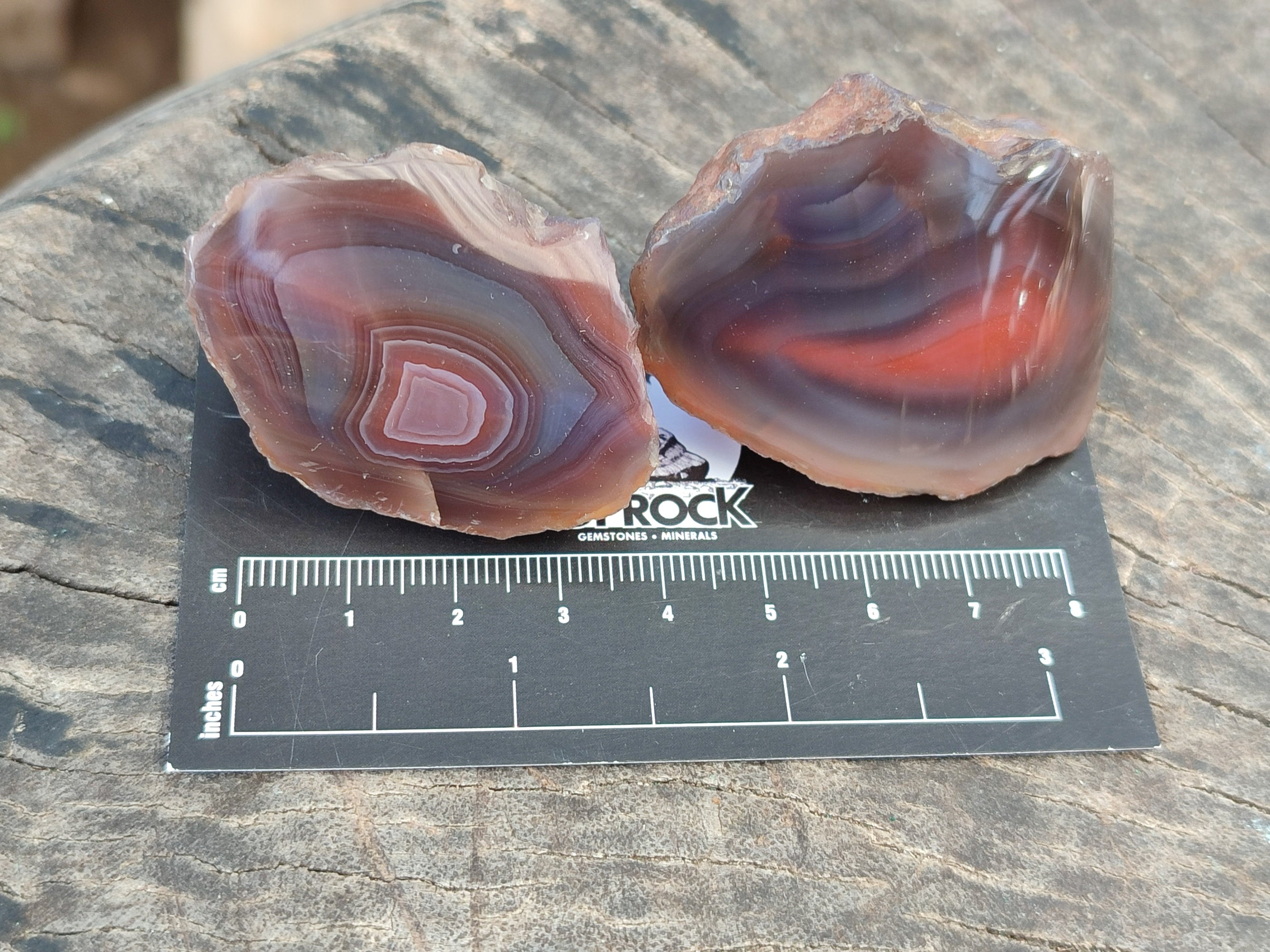 Polished On One Side Red Sashe River Agate Nodules x 54 From Zimbabwe - Toprock Gemstones and Minerals 