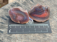 Polished On One Side Red Sashe River Agate Nodules x 54 From Zimbabwe - Toprock Gemstones and Minerals 