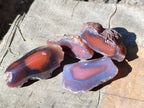 Polished On One Side Red Sashe River Agate Nodules x 54 From Zimbabwe - Toprock Gemstones and Minerals 