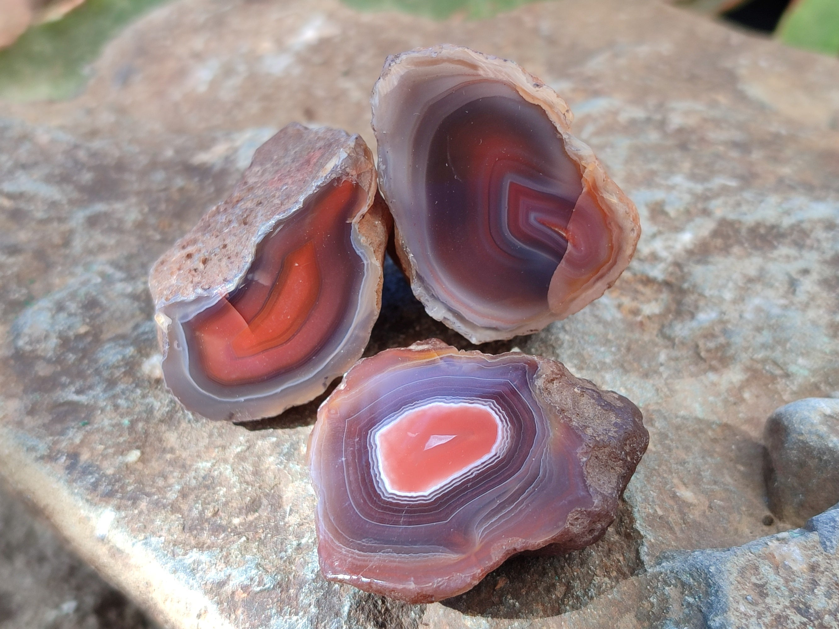Polished On One Side Red Sashe River Agate Nodules x 54 From Zimbabwe - Toprock Gemstones and Minerals 