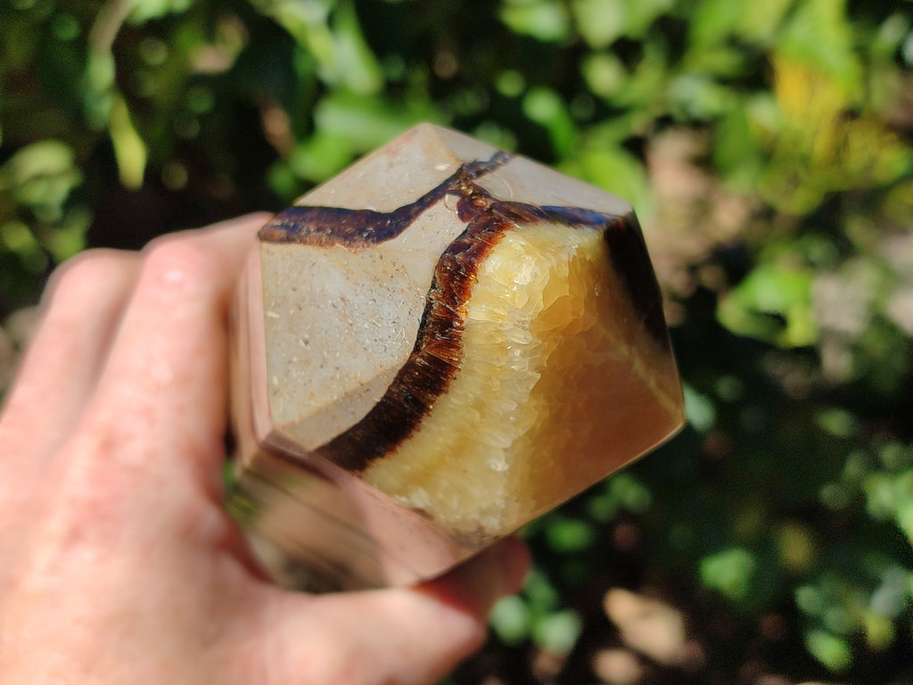 Polished Fossilized Septerye Point x 1 From Mahajanga, Madagascar - Toprock Gemstones and Minerals 