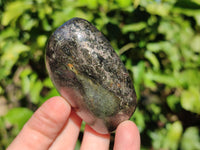 Polished Rare Pharaoh Stone Pyrite in Basalt Standing Free Forms and Free Forms x 4 Iron Duke Mine, Zimbabwe