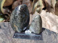 Polished Rare Pharaoh Stone Pyrite in Basalt Standing Free Forms and Free Forms x 4 Iron Duke Mine, Zimbabwe