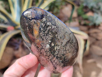 Polished Rare Pharaoh Stone Pyrite in Basalt Standing Free Forms and Free Forms x 4 Iron Duke Mine, Zimbabwe