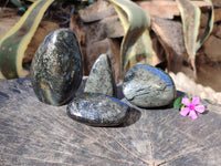 Polished Rare Pharaoh Stone Pyrite in Basalt Standing Free Forms and Free Forms x 4 Iron Duke Mine, Zimbabwe
