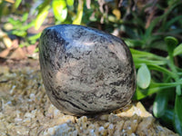 Polished Rare Pharaoh Stone Pyrite in Basalt Standing Free Forms and Free Forms x 4 Iron Duke Mine, Zimbabwe