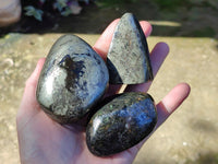Polished Rare Pharaoh Stone Pyrite in Basalt Standing Free Forms and Free Forms x 4 Iron Duke Mine, Zimbabwe