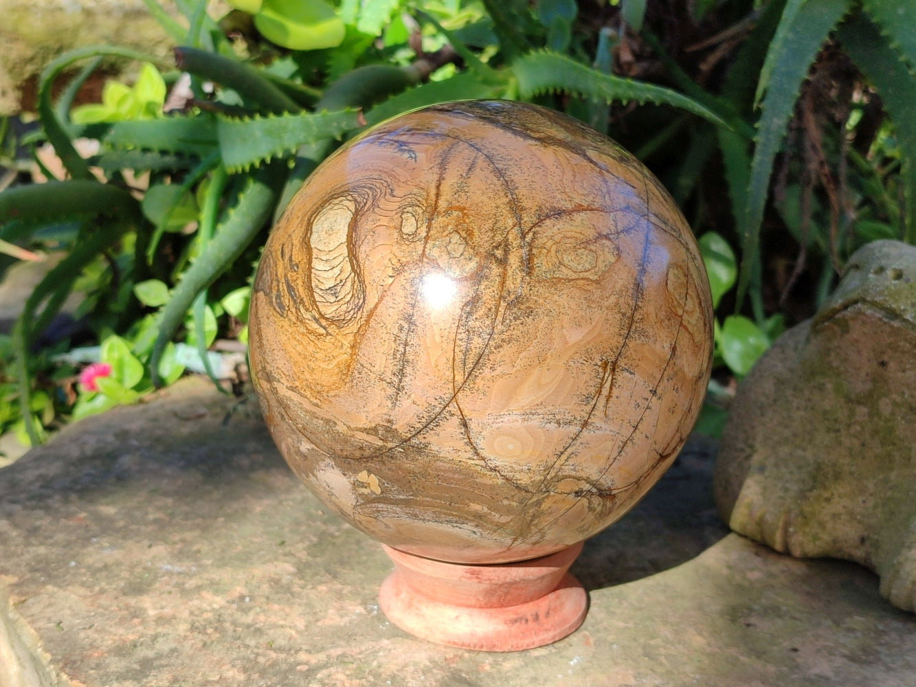 Polished Picturestone Jasper Sphere x 1 From Northwest Coast, Madagascar - Toprock Gemstones and Minerals 