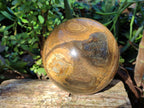 Polished Picturestone Jasper Sphere x 1 From Northwest Coast, Madagascar - Toprock Gemstones and Minerals 