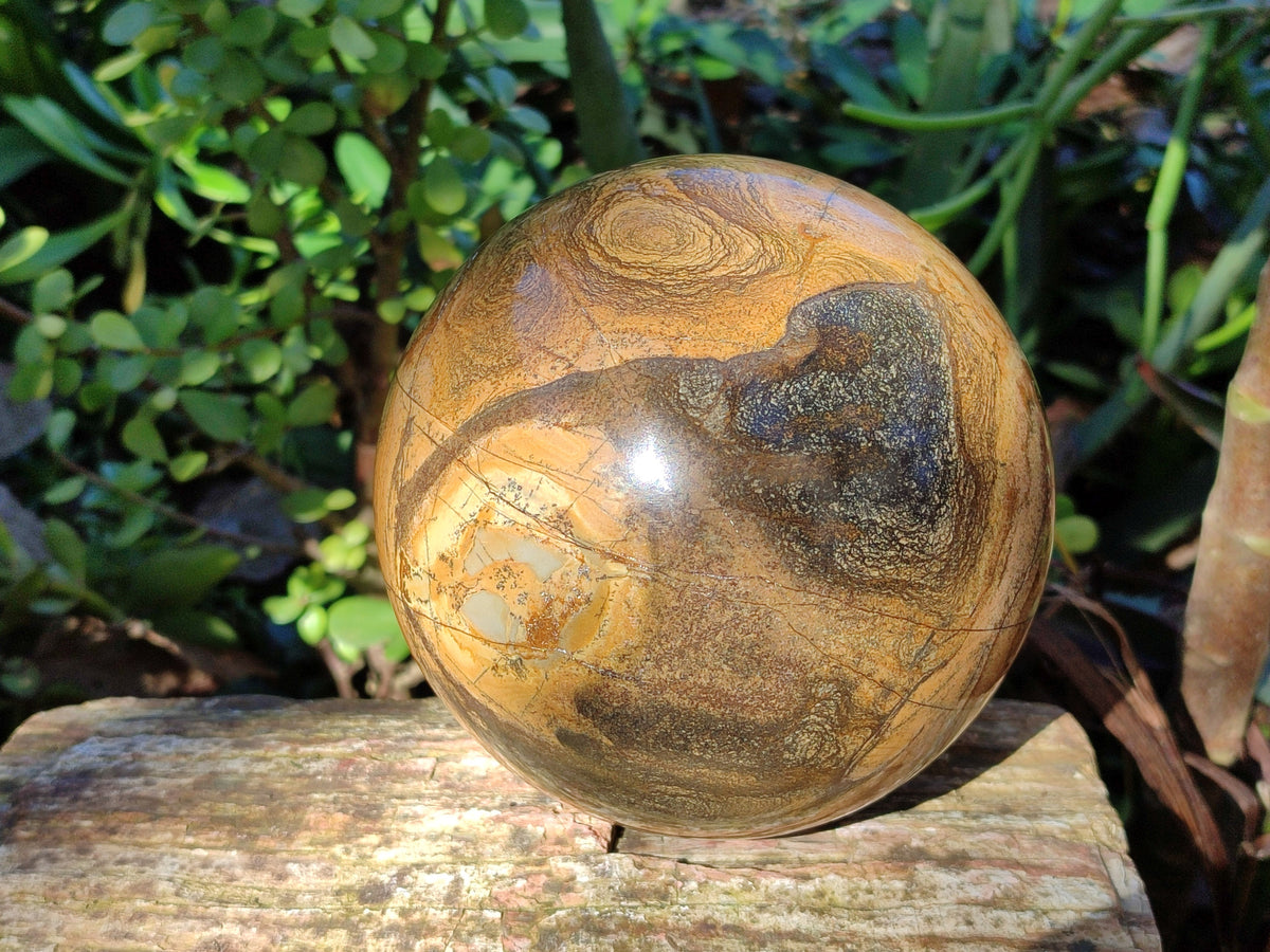 Polished Picturestone Jasper Sphere x 1 From Northwest Coast, Madagascar - Toprock Gemstones and Minerals 