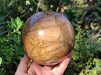 Polished Picturestone Jasper Sphere x 1 From Northwest Coast, Madagascar - Toprock Gemstones and Minerals 