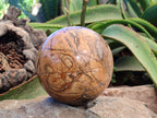 Polished Picturestone Jasper Sphere x 1 From Northwest Coast, Madagascar - Toprock Gemstones and Minerals 