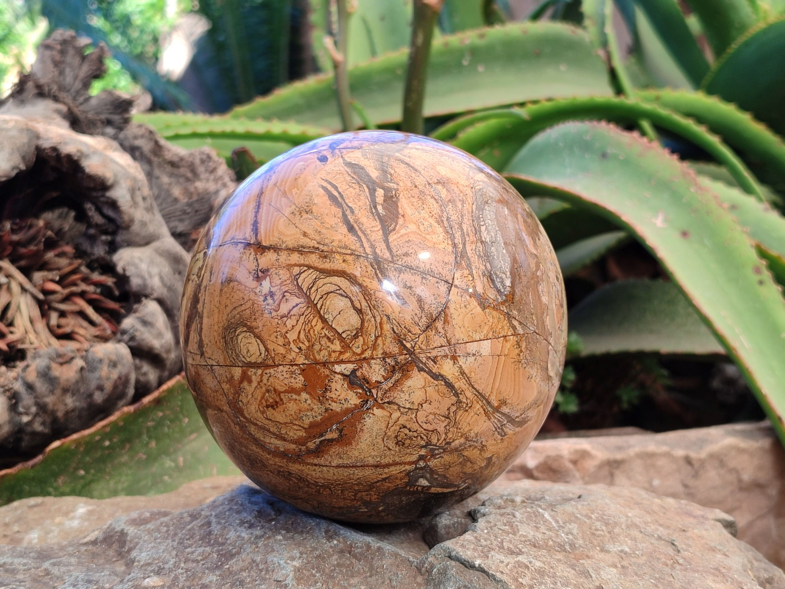 Polished Picturestone Jasper Sphere x 1 From Northwest Coast, Madagascar - Toprock Gemstones and Minerals 
