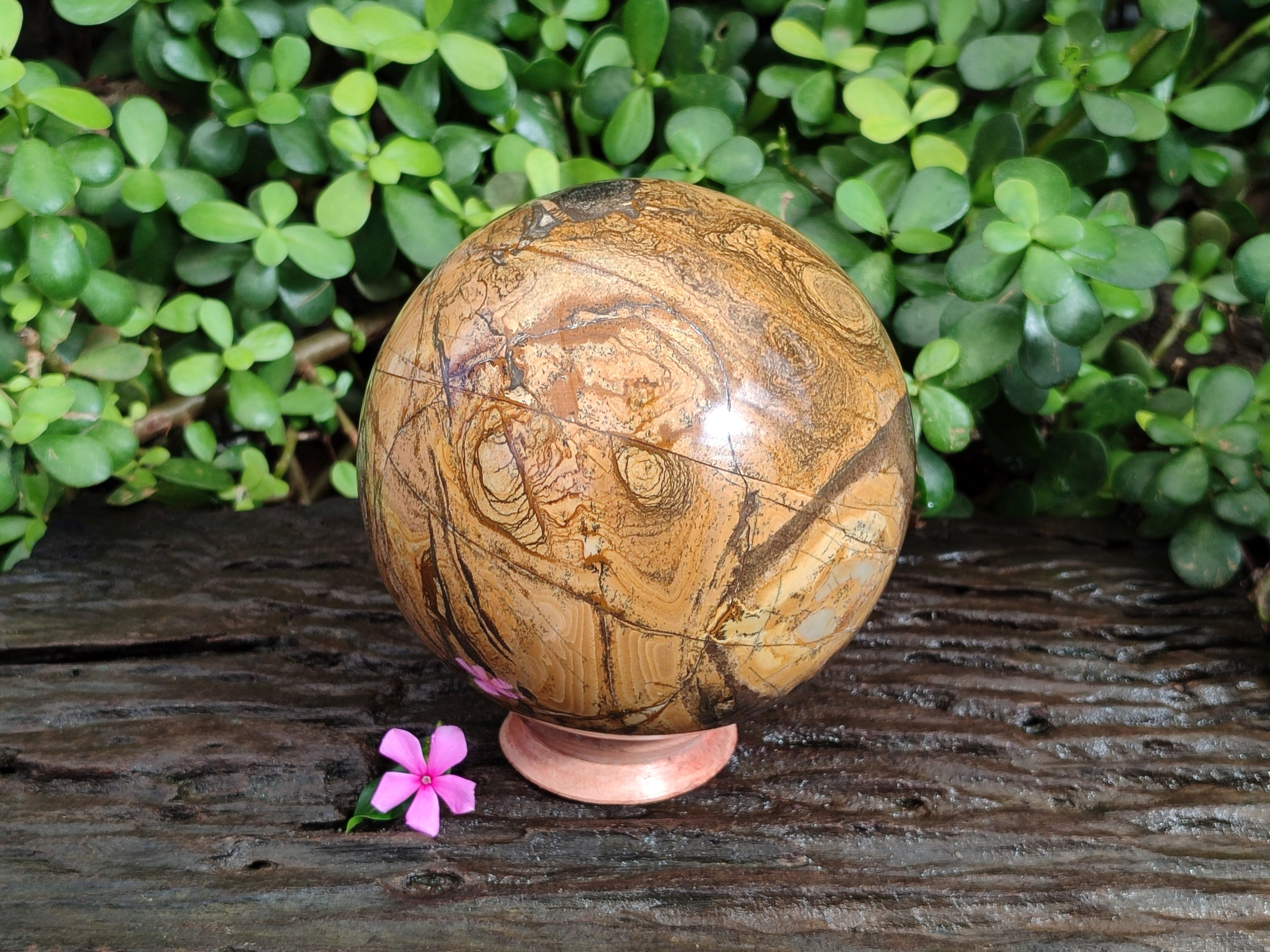 Polished Picturestone Jasper Sphere x 1 From Northwest Coast, Madagascar - Toprock Gemstones and Minerals 