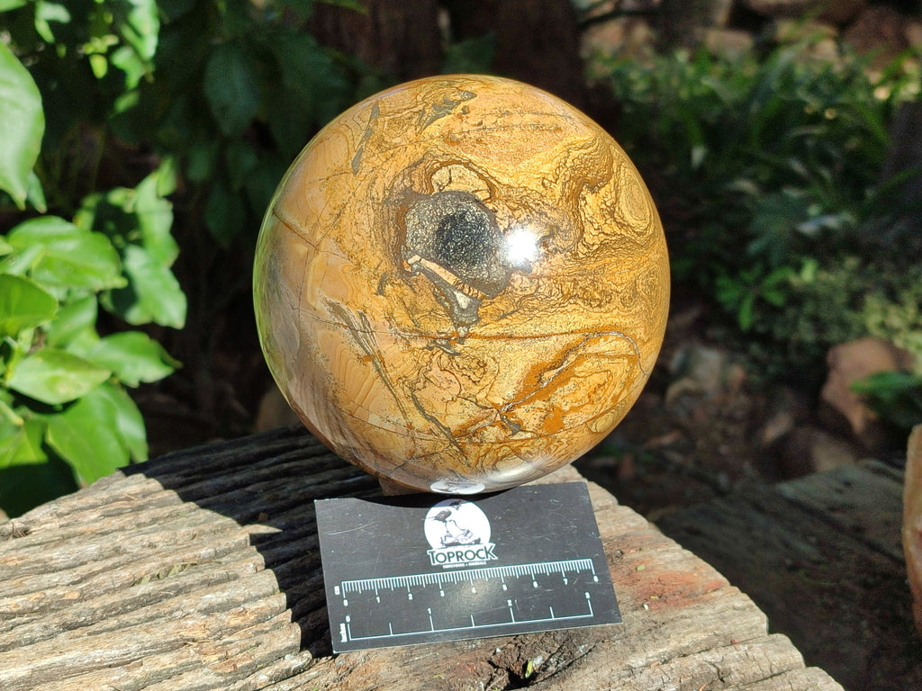 Polished Picturestone Jasper Sphere x 1 From Northwest Coast, Madagascar - Toprock Gemstones and Minerals 