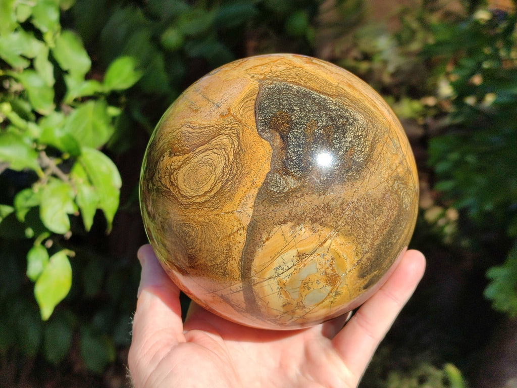 Polished Picturestone Jasper Sphere x 1 From Northwest Coast, Madagascar - Toprock Gemstones and Minerals 