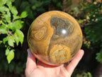 Polished Picturestone Jasper Sphere x 1 From Northwest Coast, Madagascar - Toprock Gemstones and Minerals 